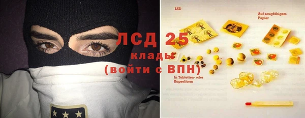 шишки Алзамай