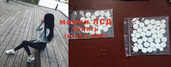 шишки Алзамай