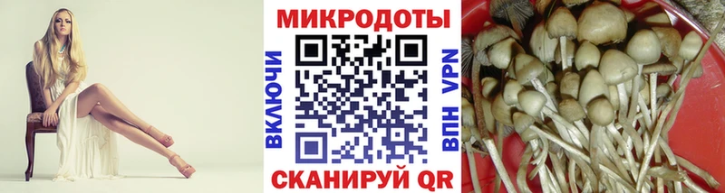 Галлюциногенные грибы прущие грибы  закладки  Амурск 